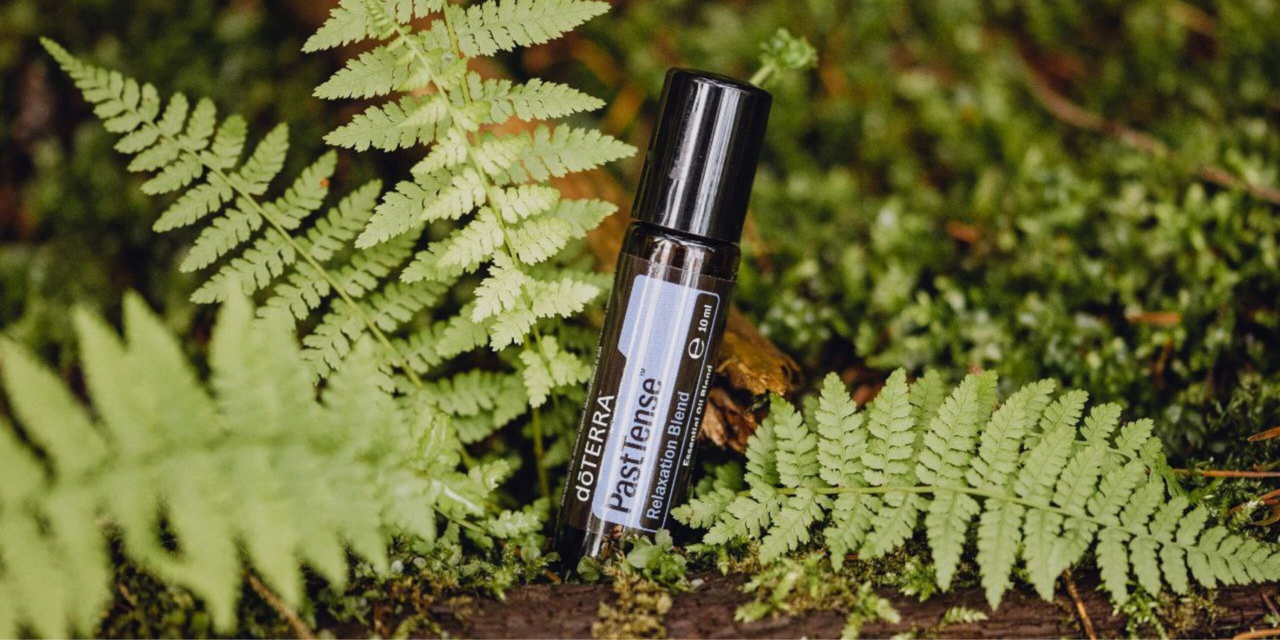 design ohne titel (10)